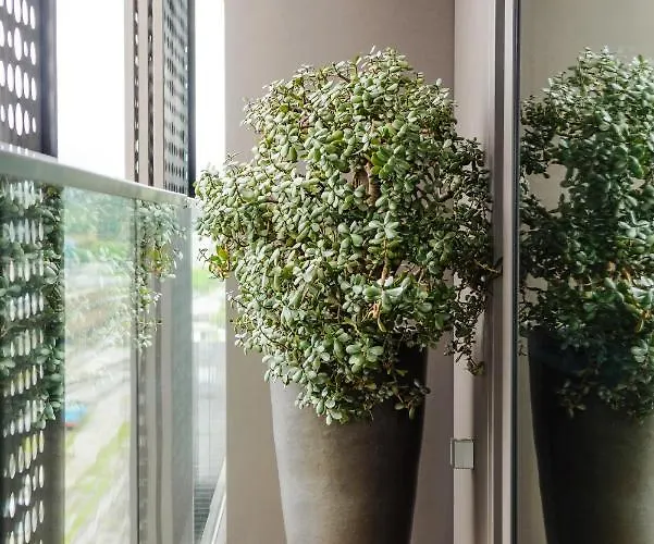 Apartment Slovenia Crib